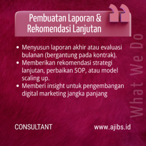 Digital Marketing Consultant Service (10)