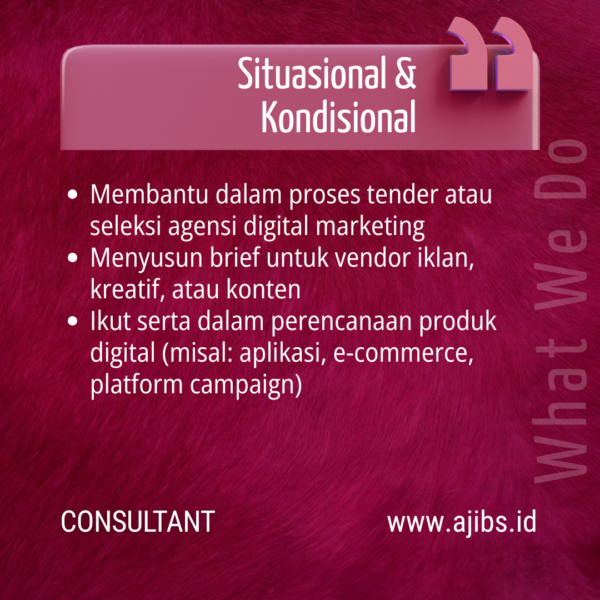 Digital Marketing Consultant Service (11)