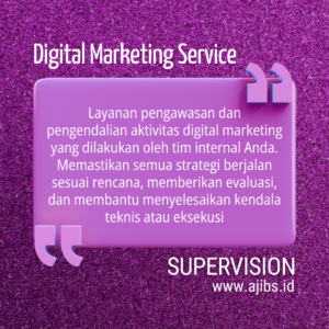 Digital Marketing Supervision Service (2)