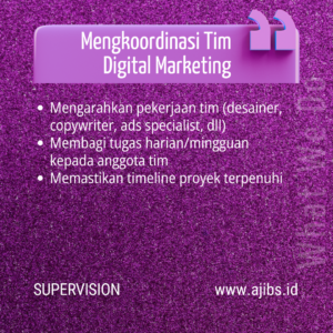 Digital Marketing Supervision Service (4)